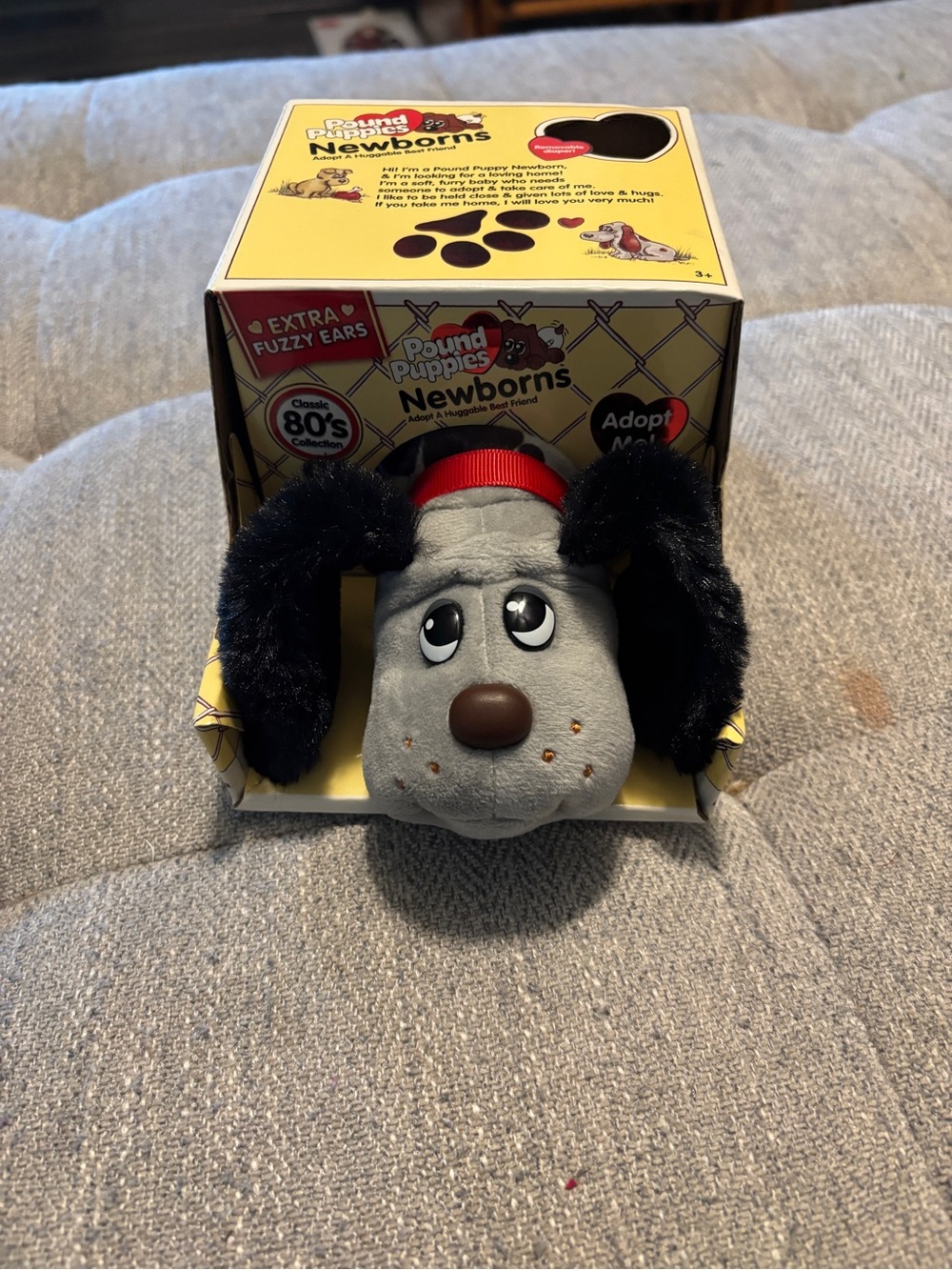 Pound Puppies Newborns